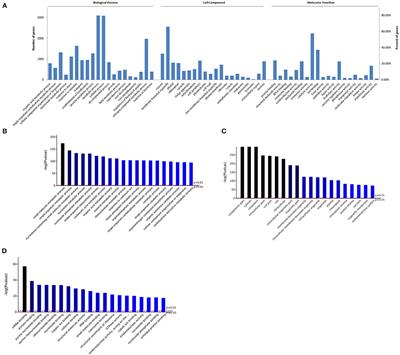 Study of Terpenoid Synthesis and Prenyltransferase in Roots of Rehmannia glutinosa Based on iTRAQ Quantitative Proteomics